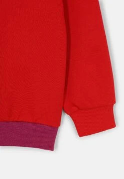 Fila Binderup - Trui - Wild Aster True Red -Fila Verkoopwinkel 022f91b88d7d4c43ac45752ed57da9f7