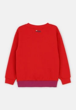 Fila Binderup - Trui - Wild Aster True Red -Fila Verkoopwinkel 08fc58ed25bd44de86d12f0b91bf568d