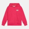 Fila Tuebingen Hoody - Trui - Carmine