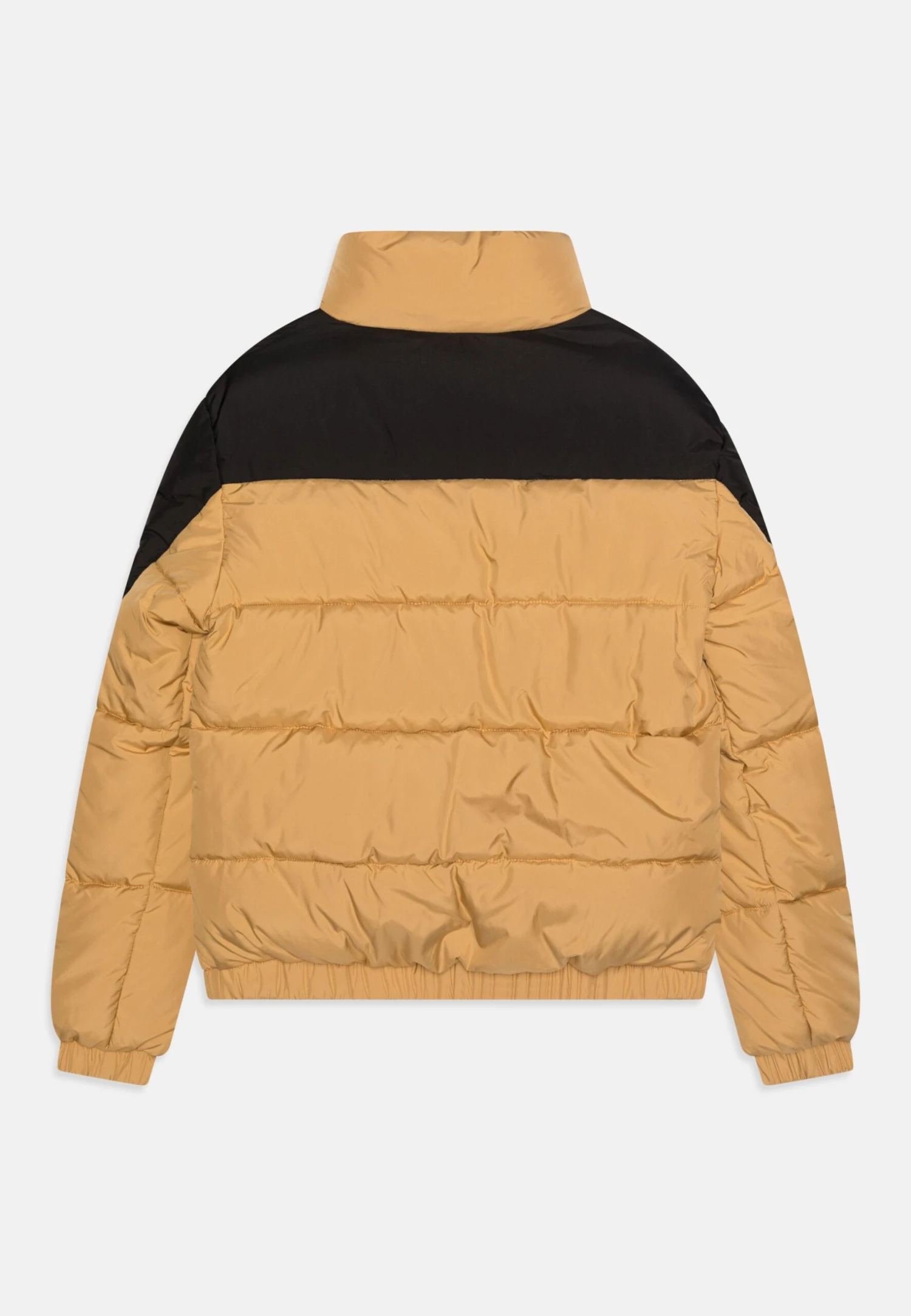 Fila Thalwenden Teens Blocked Puff Unisex - Winterjas - Iced Coffee/Black 2 Fila Thalwenden Teens Blocked Puff Unisex - Winterjas - Iced Coffee/Black - Afbeelding 2