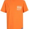 Fila Apparel Temnitztal- T-Shirt Print - Celosia Orange