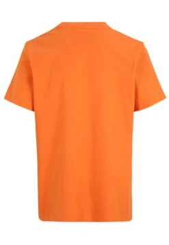 Fila Apparel Temnitztal- T-Shirt Print - Celosia Orange -Fila Verkoopwinkel d32ccba5dbc44f03815c7cafe757d163